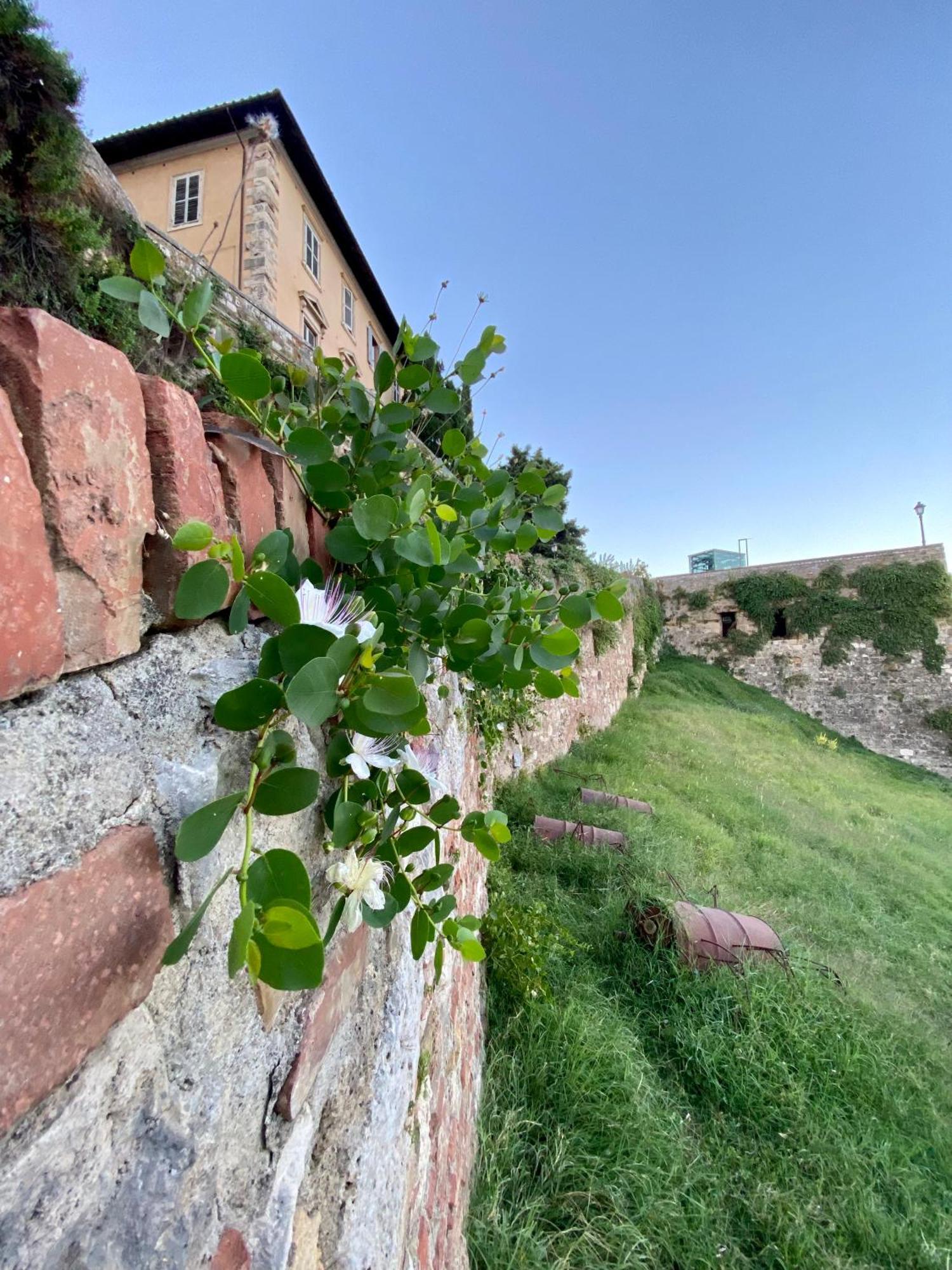 La Torre Di Canonica Colle di Val d'Elsa Exterior photo